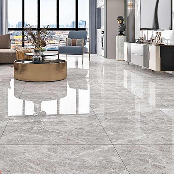 Square Matte Wall Tile Marble Gray Singular Tile for Floor Case Clearhalo 'Floor Tiles & Wall Tiles' 'floor_tiles_wall_tiles' 'Flooring 'Home Improvement' 'home_improvement' 'home_improvement_floor_tiles_wall_tiles' Walls and Ceiling' 1200x1200_a868f505-48a2-472c-ae96-c5439816d7a5