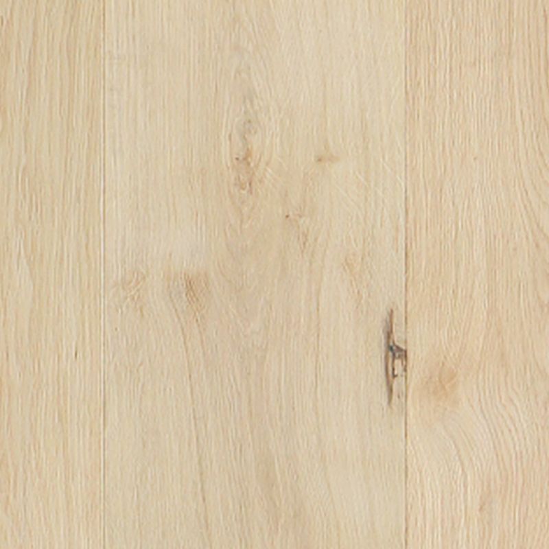 Contemporary Light Oak Wood Flooring Waterproof Solid Wood Flooring Clearhalo 'Flooring 'Hardwood Flooring' 'hardwood_flooring' 'Home Improvement' 'home_improvement' 'home_improvement_hardwood_flooring' Walls and Ceiling' 1200x1200_a9e10d1c-50f9-44f8-bf77-6477fcfaa0b8