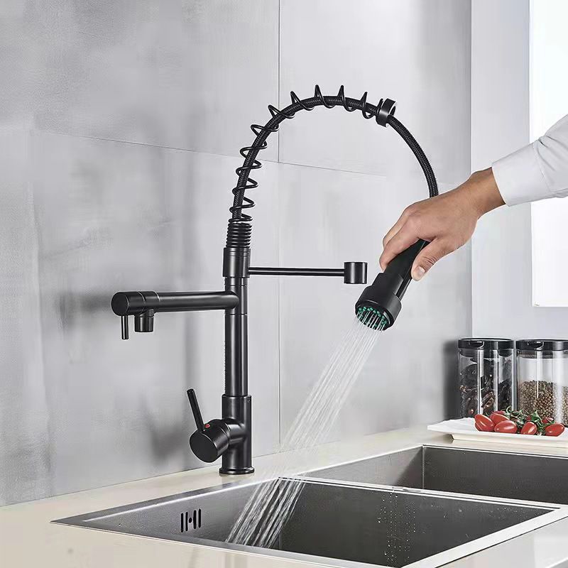 2-Function Kitchen Faucet 2-Handle Pull down Modern Farmhouse Kitchen Faucet Clearhalo 'Home Improvement' 'home_improvement' 'home_improvement_kitchen_faucets' 'Kitchen Faucets' 'Kitchen Remodel & Kitchen Fixtures' 'Kitchen Sinks & Faucet Components' 'kitchen_faucets' 1200x1200_ab203467-2bc3-4137-9539-514db5bb9c14