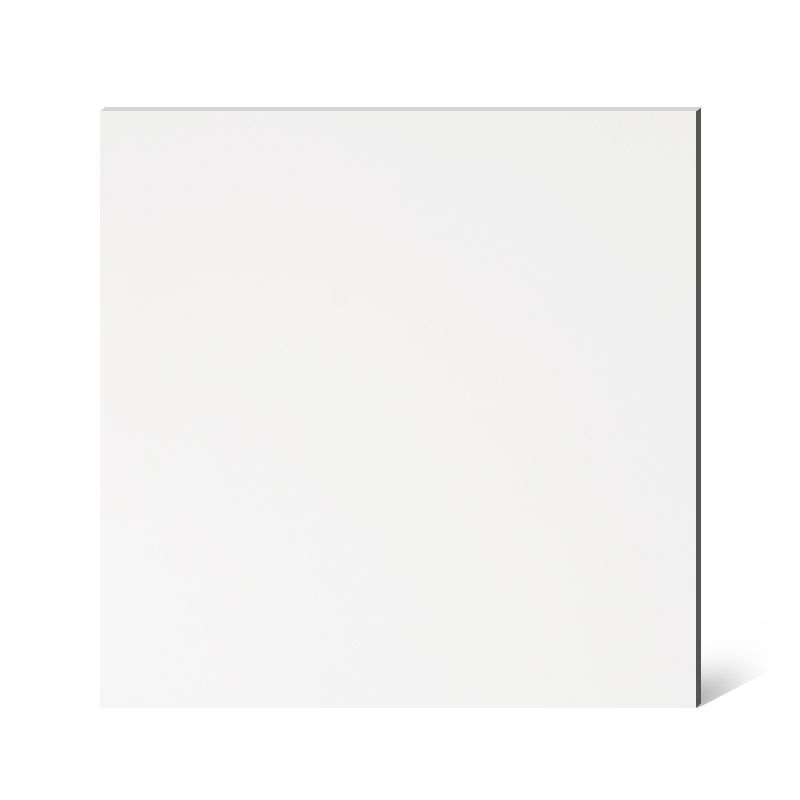 Square Ceramic Straight Edge Singular Tile No Pattern Bathroom Floor Clearhalo 'Floor Tiles & Wall Tiles' 'floor_tiles_wall_tiles' 'Flooring 'Home Improvement' 'home_improvement' 'home_improvement_floor_tiles_wall_tiles' Walls and Ceiling' 1200x1200_ae2421fb-39cc-47f4-9ebb-55873495a9e2