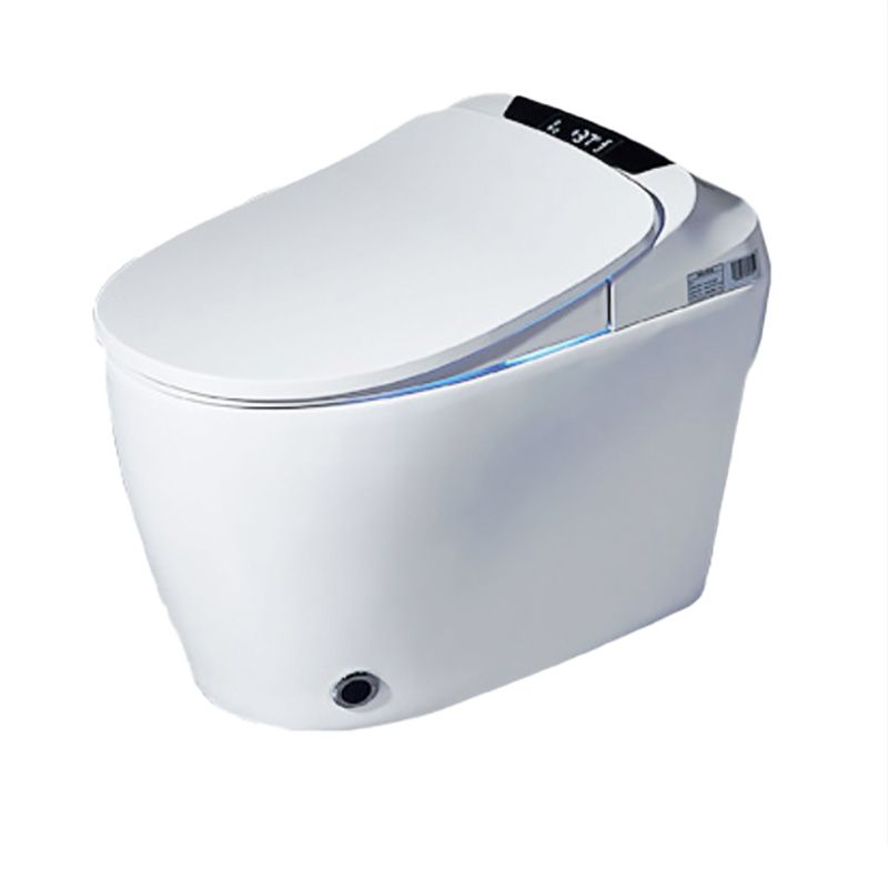 16.5" W Elongated All-in-One Toilet Seat Bidet with Wireless Remote Control Clearhalo 'Bathroom Remodel & Bathroom Fixtures' 'Bidets' 'Home Improvement' 'home_improvement' 'home_improvement_bidets' 'Toilets & Bidets' 1200x1200_ae428356-1e26-45d8-9b69-bd3e13834d36