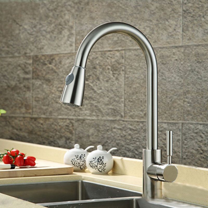 1-Hole Kitchen Faucet Pull down Sprayer Kitchen Faucet with Single Lever Handle Clearhalo 'Home Improvement' 'home_improvement' 'home_improvement_kitchen_faucets' 'Kitchen Faucets' 'Kitchen Remodel & Kitchen Fixtures' 'Kitchen Sinks & Faucet Components' 'kitchen_faucets' 1200x1200_ae84855a-e5fa-4635-84b6-6684a2a2637f