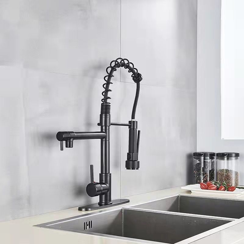 2-Function Kitchen Faucet 2-Handle Pull down Modern Farmhouse Kitchen Faucet Clearhalo 'Home Improvement' 'home_improvement' 'home_improvement_kitchen_faucets' 'Kitchen Faucets' 'Kitchen Remodel & Kitchen Fixtures' 'Kitchen Sinks & Faucet Components' 'kitchen_faucets' 1200x1200_b1966f7f-9635-441d-a446-d4c7e2ece44e