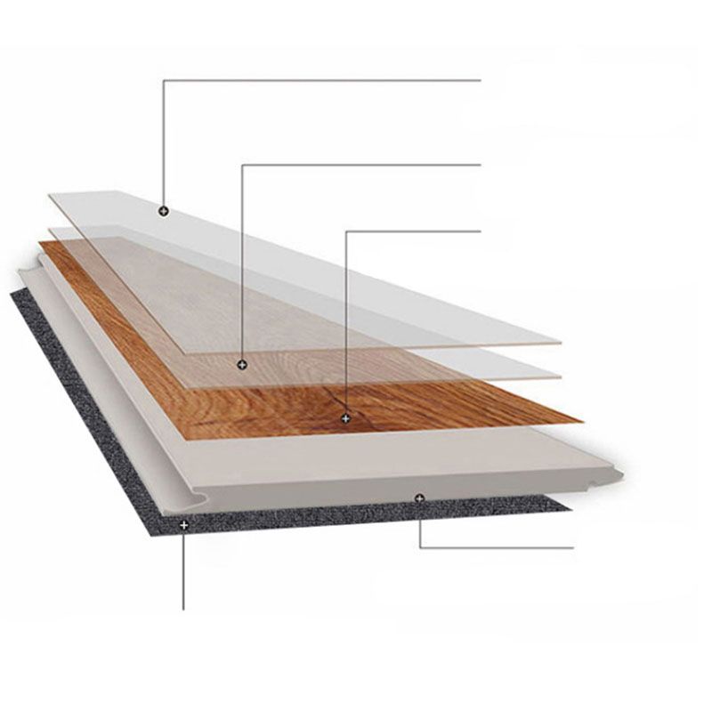 Click Lock Laminate Textured Indoor Waterproof Stain Resistant Wooden Laminate Floor Clearhalo 'Flooring 'Home Improvement' 'home_improvement' 'home_improvement_laminate_flooring' 'Laminate Flooring' 'laminate_flooring' Walls and Ceiling' 1200x1200_b26e37d6-58f6-4c5b-922a-de212ac4519b