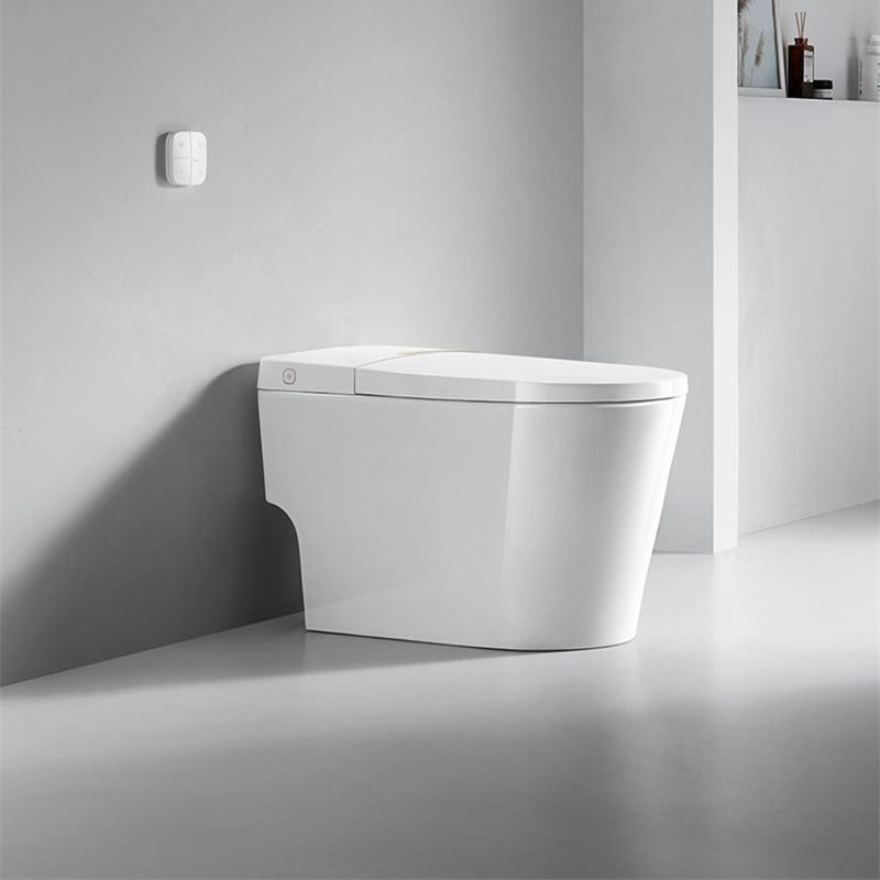 Dual Flush Smart Bidet Temperature Control Floor Standing Bidet Clearhalo 'Bathroom Remodel & Bathroom Fixtures' 'Bidets' 'Home Improvement' 'home_improvement' 'home_improvement_bidets' 'Toilets & Bidets' 1200x1200_b2e7ca33-4589-4c98-bba1-1f5f8b5d83c2