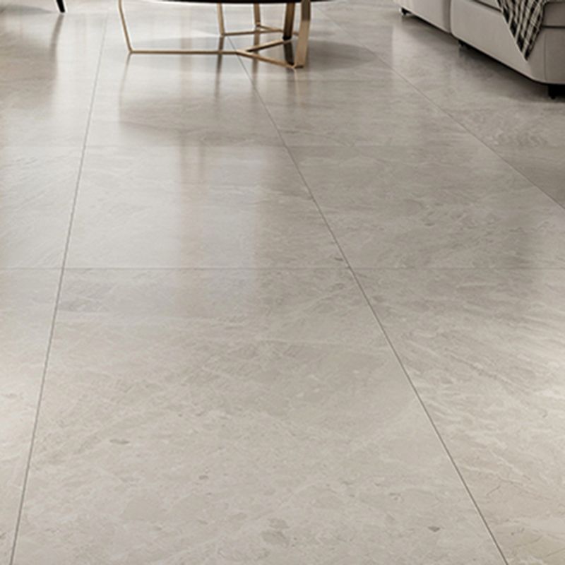 Marble Singular Tile Mirrored Rectangular Floor and Wall Tile Clearhalo 'Floor Tiles & Wall Tiles' 'floor_tiles_wall_tiles' 'Flooring 'Home Improvement' 'home_improvement' 'home_improvement_floor_tiles_wall_tiles' Walls and Ceiling' 1200x1200_b3842dd3-244e-4e52-83cb-ad3d1ab98b2c