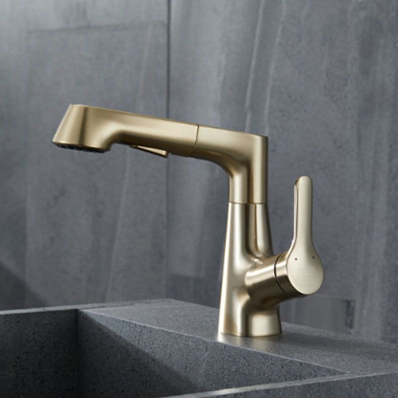 Modern Vessel Sink Faucet Brass Lever Handles Swivel Spout Bathroom Vessel Faucet Clearhalo 'bathroom_sink_faucets' 'Conjuntos de Torneiras de Lavatório e Banheiro' 'home_improvement' 'home_improvement_bathroom_sink_faucets' 'Mobiliário Doméstico' 'Página inicial' 'Renovação e equipamento de casa de banho' 'Torneira para lavatório de banheiro' 1200x1200_b3856422-9739-415e-bc47-40f06ada2a72