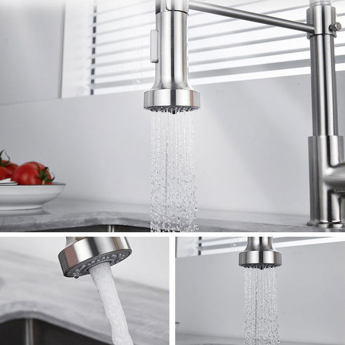 1-Handle Faucets with Water Dispenser Spring Spout Standard Kitchen Faucets Clearhalo 'Home Improvement' 'home_improvement' 'home_improvement_kitchen_faucets' 'Kitchen Faucets' 'Kitchen Remodel & Kitchen Fixtures' 'Kitchen Sinks & Faucet Components' 'kitchen_faucets' 1200x1200_b565a8be-8563-4f02-8075-7ddd9cbeba2d