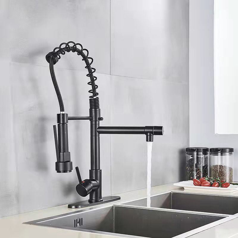 2-Function Kitchen Faucet 2-Handle Pull down Modern Farmhouse Kitchen Faucet Clearhalo 'Home Improvement' 'home_improvement' 'home_improvement_kitchen_faucets' 'Kitchen Faucets' 'Kitchen Remodel & Kitchen Fixtures' 'Kitchen Sinks & Faucet Components' 'kitchen_faucets' 1200x1200_b7170575-809a-477f-a0e8-35c8f0c83935