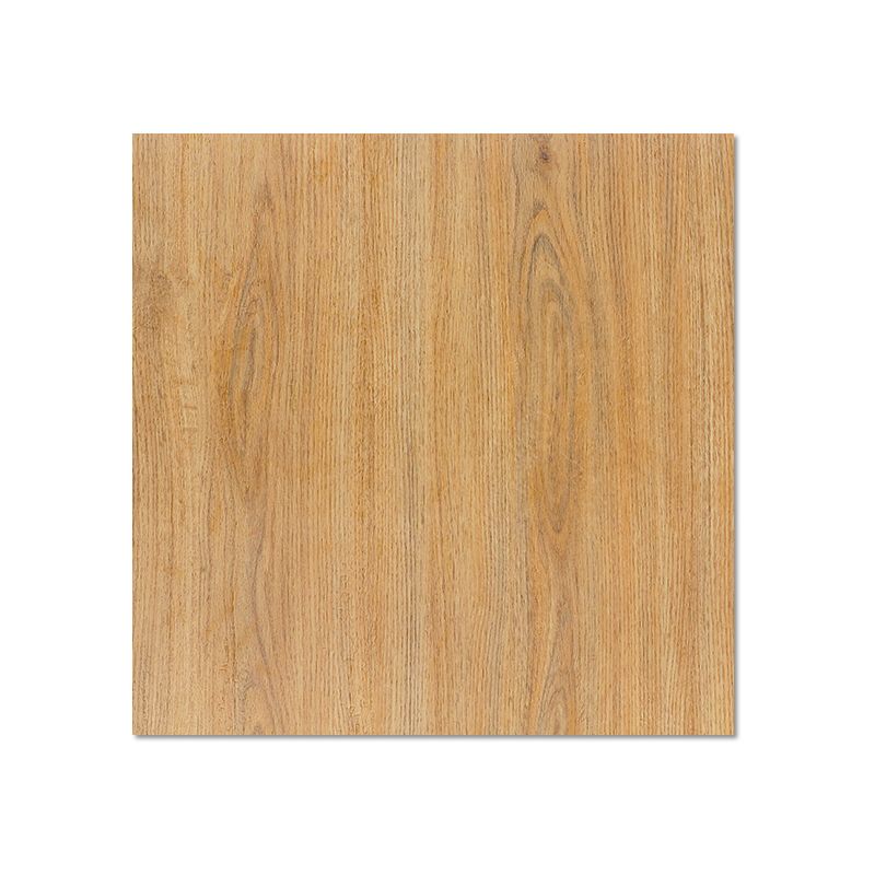 Modern Vinyl Floor Planks Wood Look Self Adhesive PVC Flooring Clearhalo 'Flooring 'Home Improvement' 'home_improvement' 'home_improvement_vinyl_flooring' 'Vinyl Flooring' 'vinyl_flooring' Walls and Ceiling' 1200x1200_b79944ca-00cd-42af-a6cd-a7a70216451d
