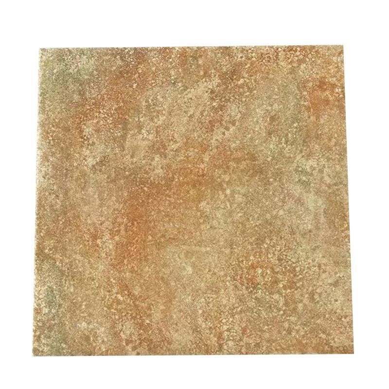 Traditional Style Floor Tile Straight Edge Square Singular Tile Clearhalo 'Floor Tiles & Wall Tiles' 'floor_tiles_wall_tiles' 'Flooring 'Home Improvement' 'home_improvement' 'home_improvement_floor_tiles_wall_tiles' Walls and Ceiling' 1200x1200_b89af9c3-e736-4eaf-948d-70b0483ab069
