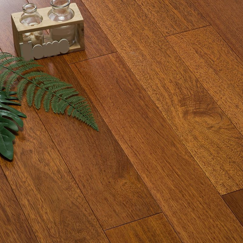 Tradition Hardwood Flooring Oak Click Lock Rectangle Wood Flooring Clearhalo 'Flooring 'Hardwood Flooring' 'hardwood_flooring' 'Home Improvement' 'home_improvement' 'home_improvement_hardwood_flooring' Walls and Ceiling' 1200x1200_b92485b5-9fc3-4f79-a8c8-09a7d32edf05