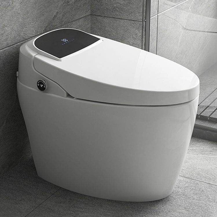 White Elongated Floor Standing Bidet Home Heated Seat All-in-One Bidet Clearhalo 'Bathroom Remodel & Bathroom Fixtures' 'Bidets' 'Home Improvement' 'home_improvement' 'home_improvement_bidets' 'Toilets & Bidets' 1200x1200_b9edc54f-5b91-4cdd-a338-cc836850ac10