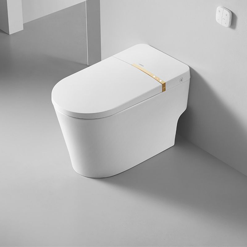 Dual Flush Smart Bidet Temperature Control Floor Standing Bidet Clearhalo 'Bathroom Remodel & Bathroom Fixtures' 'Bidets' 'Home Improvement' 'home_improvement' 'home_improvement_bidets' 'Toilets & Bidets' 1200x1200_b9f870b2-1465-48c4-b89f-7b606ed3f1b4