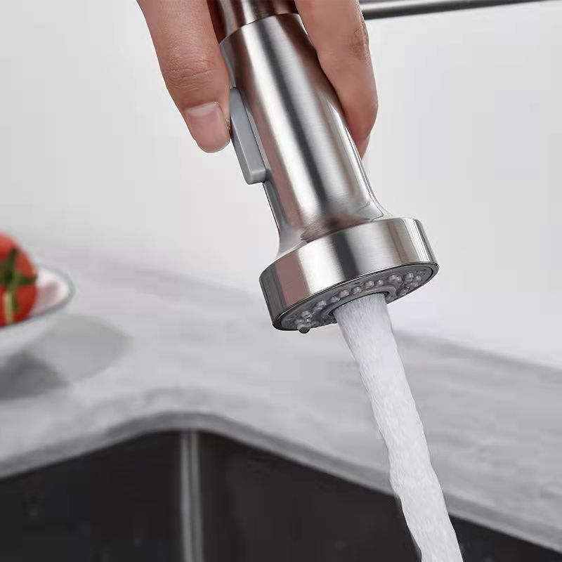 1-Handle Faucets with Water Dispenser Spring Spout Standard Kitchen Faucets Clearhalo 'Home Improvement' 'home_improvement' 'home_improvement_kitchen_faucets' 'Kitchen Faucets' 'Kitchen Remodel & Kitchen Fixtures' 'Kitchen Sinks & Faucet Components' 'kitchen_faucets' 1200x1200_babf6dba-d539-4f81-aca0-bbcec02a69b6