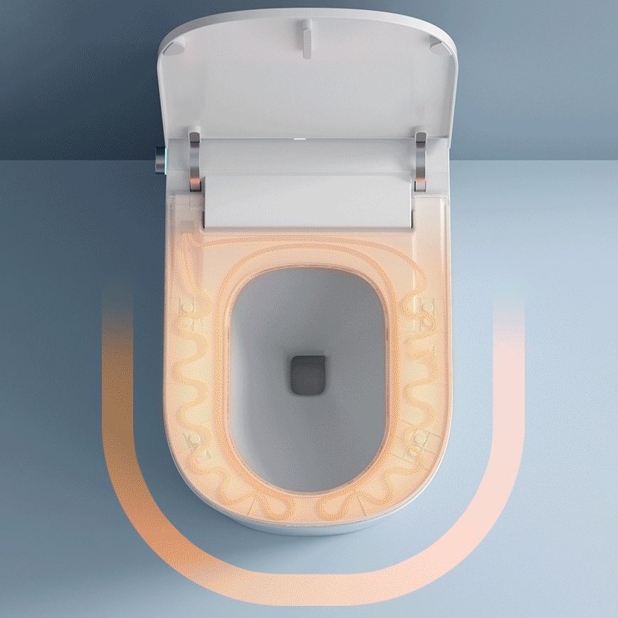Modern Skirted Toilet Bowl Siphon Jet Toilet with Soft-Close Seat for Bathroom Clearhalo 'Bathroom Remodel & Bathroom Fixtures' 'Home Improvement' 'home_improvement' 'home_improvement_toilets' 'Toilets & Bidets' 'Toilets' 1200x1200_bdcd742b-c273-48c1-8e86-d69d60ee2a27