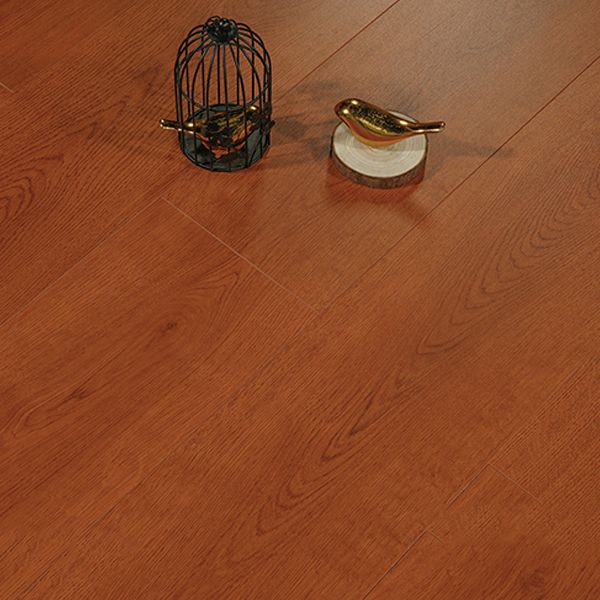 Classic 8" X 49" X 15mm Laminate Flooring, Click-Lock, Waterproof Clearhalo 'Flooring 'Home Improvement' 'home_improvement' 'home_improvement_laminate_flooring' 'Laminate Flooring' 'laminate_flooring' Walls and Ceiling' 1200x1200_bddaed89-beb7-42b5-afa1-bb815bf7f582