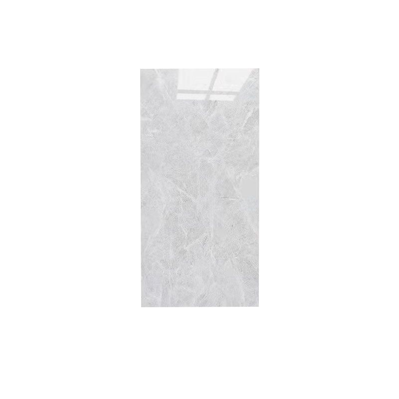 Bathroom Floor Wall Tile Marble Print Rectangle Indoor Wall Tile Clearhalo 'Floor Tiles & Wall Tiles' 'floor_tiles_wall_tiles' 'Flooring 'Home Improvement' 'home_improvement' 'home_improvement_floor_tiles_wall_tiles' Walls and Ceiling' 1200x1200_be9a892a-f44a-4593-86ec-006b8b600985