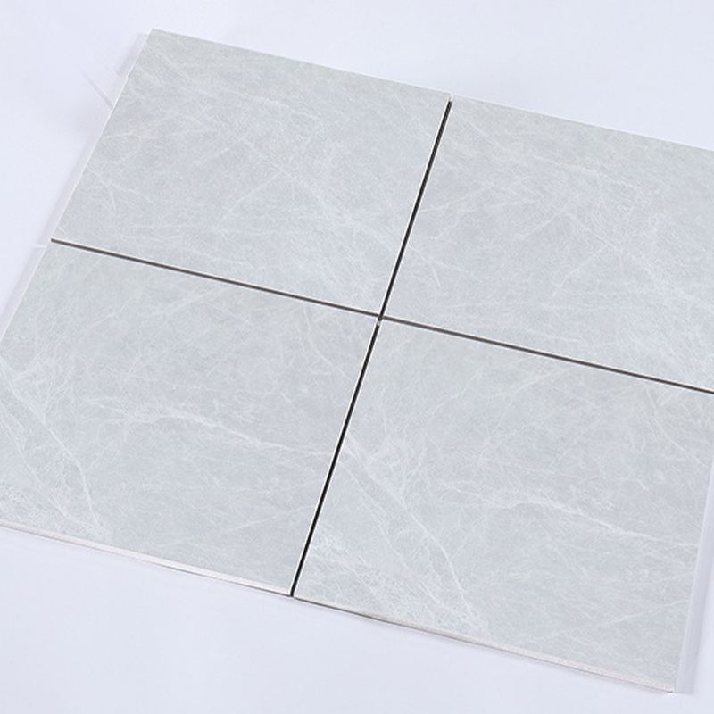 Ceramic Floor Tile Straight Edge Square Waterproof Matte Floor Tile Clearhalo 'Floor Tiles & Wall Tiles' 'floor_tiles_wall_tiles' 'Flooring 'Home Improvement' 'home_improvement' 'home_improvement_floor_tiles_wall_tiles' Walls and Ceiling' 1200x1200_c0ccec2b-aad8-4a3c-803b-d1ff842cf792