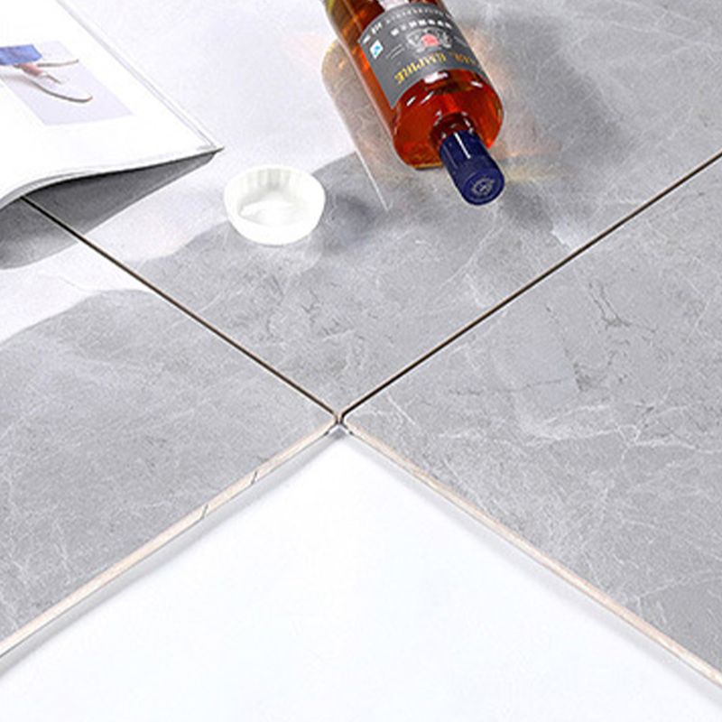 Modern Style Square Floor Tile Waterproof Straight Edge Polished Floor Tile Clearhalo 'Floor Tiles & Wall Tiles' 'floor_tiles_wall_tiles' 'Flooring 'Home Improvement' 'home_improvement' 'home_improvement_floor_tiles_wall_tiles' Walls and Ceiling' 1200x1200_c0e196a7-69d7-4d23-b6d6-378d334b0247