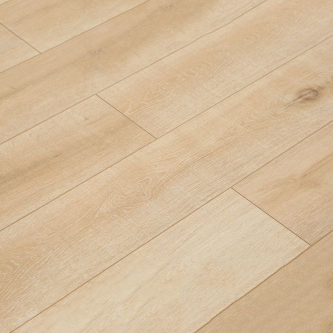 Contemporary Laminate Flooring Light Color Wooden Laminate Flooring Clearhalo 'Flooring 'Home Improvement' 'home_improvement' 'home_improvement_laminate_flooring' 'Laminate Flooring' 'laminate_flooring' Walls and Ceiling' 1200x1200_c0ecf793-19e0-45fb-a59b-a816c4584442