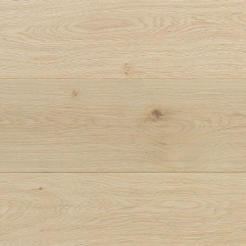 Contemporary Light Oak Wood Flooring Waterproof Solid Wood Flooring Clearhalo 'Flooring 'Hardwood Flooring' 'hardwood_flooring' 'Home Improvement' 'home_improvement' 'home_improvement_hardwood_flooring' Walls and Ceiling' 1200x1200_c81d3b1c-7f8f-4bd2-813c-54aefb0bd1ce