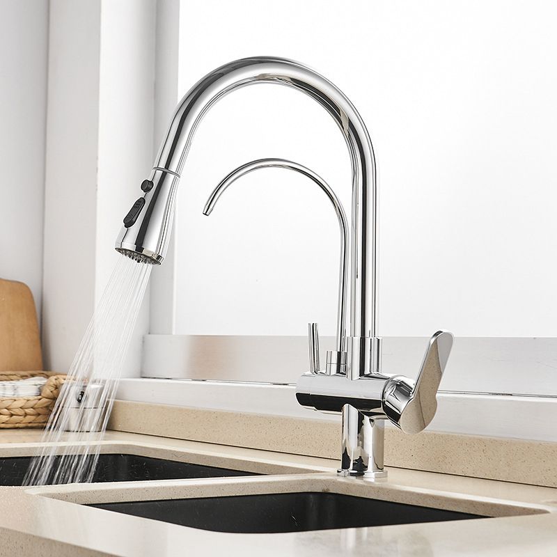 Modern 2-Handle Kitchen Faucet with Sprayer and Water Dispenser Bar Faucet Clearhalo 'Home Improvement' 'home_improvement' 'home_improvement_kitchen_faucets' 'Kitchen Faucets' 'Kitchen Remodel & Kitchen Fixtures' 'Kitchen Sinks & Faucet Components' 'kitchen_faucets' 1200x1200_c97b3981-7867-46dd-80f5-661b79bf8aa5