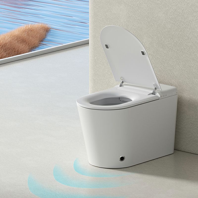 Modern Floor Mount Bidet with Elongated Bowl Shape and Heated Seat Clearhalo 'Bathroom Remodel & Bathroom Fixtures' 'Bidets' 'Home Improvement' 'home_improvement' 'home_improvement_bidets' 'Toilets & Bidets' 1200x1200_c9d2b482-6120-4b8e-970a-52511a85e556