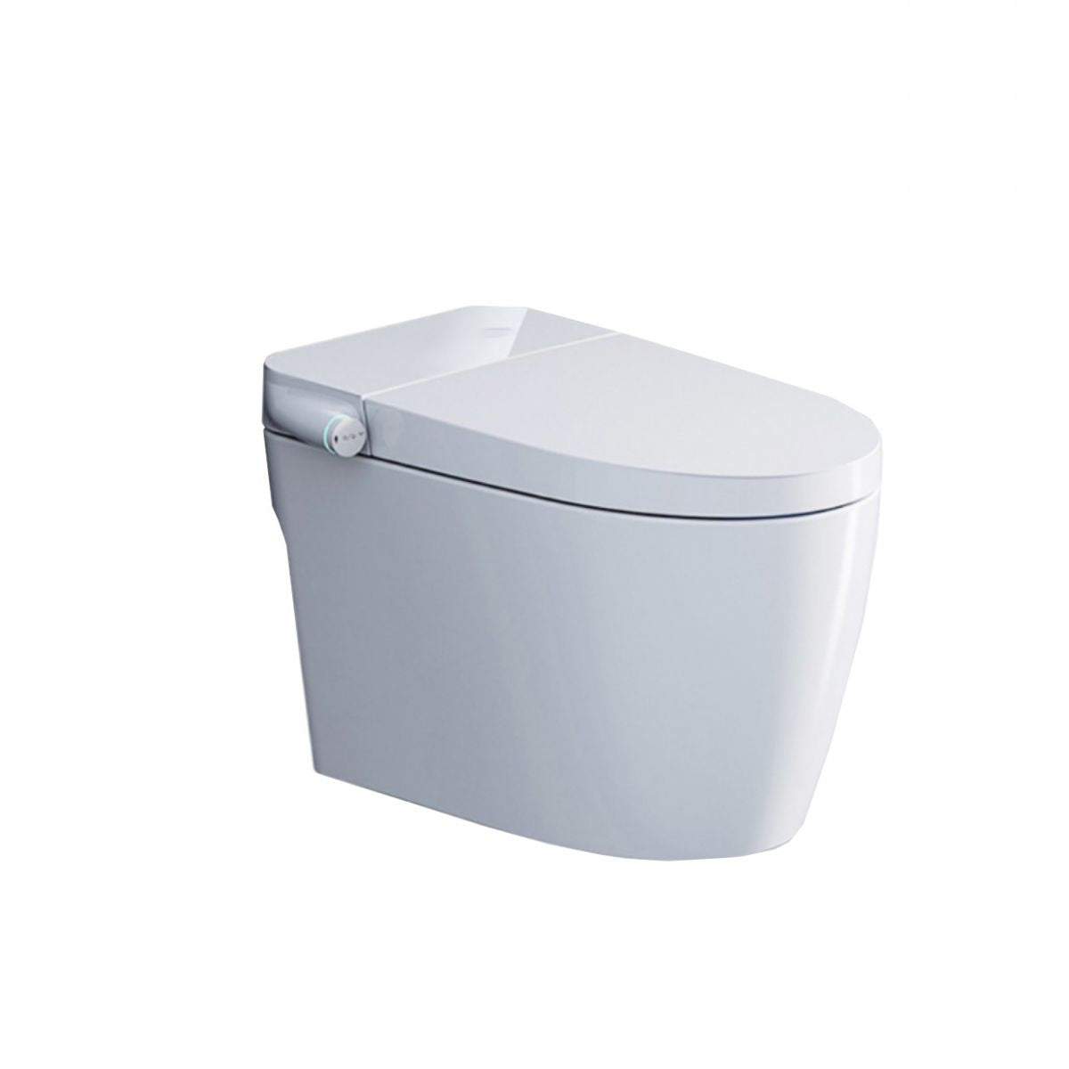 Elongated Floor Mount Bidet All-In-One Smart Bidet with Heated Seat Clearhalo 'Bathroom Remodel & Bathroom Fixtures' 'Bidets' 'Home Improvement' 'home_improvement' 'home_improvement_bidets' 'Toilets & Bidets' 1200x1200_d13c793a-7feb-4e6c-a9ad-9eca997aafb5