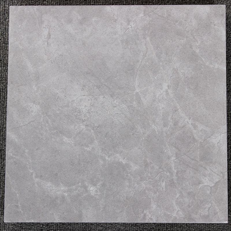 Contemporary Style Floor Tile Straight Edge Square Waterproof Floor Tile Clearhalo 'Floor Tiles & Wall Tiles' 'floor_tiles_wall_tiles' 'Flooring 'Home Improvement' 'home_improvement' 'home_improvement_floor_tiles_wall_tiles' Walls and Ceiling' 1200x1200_d2829104-f421-475e-a574-a93ddb81bede