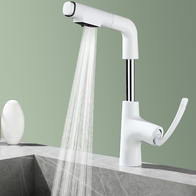 Stainless Steel Bathroom Faucet Swivel Single Lever Handle Circular Vessel Sink Faucet Clearhalo 'bathroom_sink_faucets' 'Conjunta de Baño y Conjunta de Grifo' 'Coronamiento de Baño y Dispositivo de Baño' 'Grifo del lavabo del baño' 'Hogar' 'home_improvement' 'home_improvement_bathroom_sink_faucets' 'Mejoras para el hogar' 1200x1200_d73b6619-99e0-4455-8f5a-6cffcc0fba8a