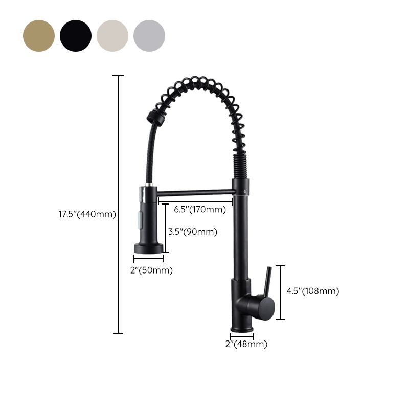 Modern Spring Spout Faucets 1-Handle with Water Dispenser Standard Kitchen Faucets Clearhalo 'Home Improvement' 'home_improvement' 'home_improvement_kitchen_faucets' 'Kitchen Faucets' 'Kitchen Remodel & Kitchen Fixtures' 'Kitchen Sinks & Faucet Components' 'kitchen_faucets' 1200x1200_d7d984aa-7ed8-4199-a2a2-48c826c5225a