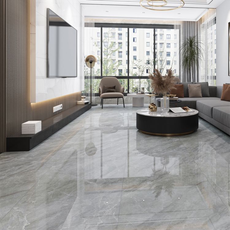 Rectangle Matte Tile Gray Marble Floor and Wall for Drawing Room Clearhalo 'Floor Tiles & Wall Tiles' 'floor_tiles_wall_tiles' 'Flooring 'Home Improvement' 'home_improvement' 'home_improvement_floor_tiles_wall_tiles' Walls and Ceiling' 1200x1200_d847dc22-02dd-4102-8a3c-b2caf92b7e21