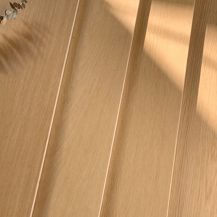 Floor Tiles Rectangular Ceramic Wood Textured Scratch Resistant Singular Floor Tiles Clearhalo 'Floor Tiles & Wall Tiles' 'floor_tiles_wall_tiles' 'Flooring 'Home Improvement' 'home_improvement' 'home_improvement_floor_tiles_wall_tiles' Walls and Ceiling' 1200x1200_d9092dbc-7cb1-4d38-ae0d-8550cc77d669