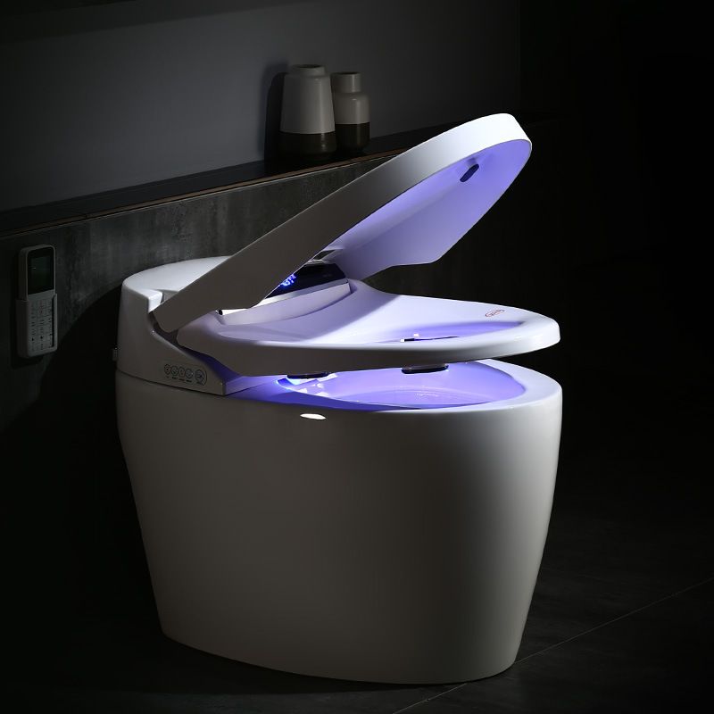 Modern 1-Piece Bidet Toilet Floor Mounted Toilet Bowl for Washroom Clearhalo 'Bathroom Remodel & Bathroom Fixtures' 'Home Improvement' 'home_improvement' 'home_improvement_toilets' 'Toilets & Bidets' 'Toilets' 1200x1200_db690720-2fee-4931-acfb-0b4c95804ec3