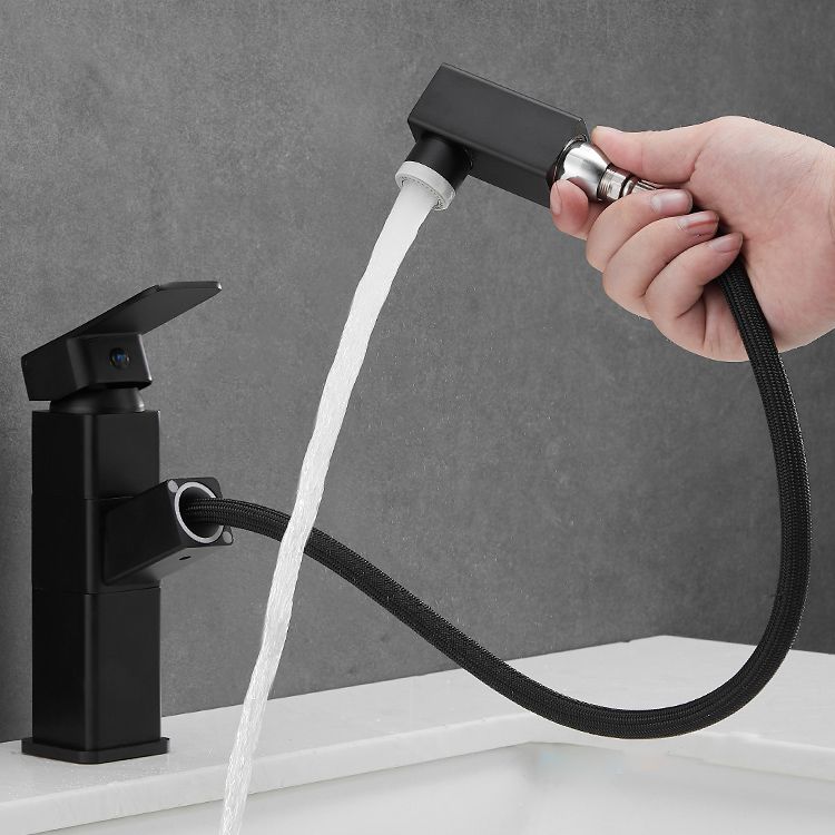 Modern Bathroom Vessel Faucet Swivel Spout Single Handle Faucet with Pull down Sprayer Clearhalo 'bathroom_sink_faucets' 'Conjunta de Baño y Conjunta de Grifo' 'Coronamiento de Baño y Dispositivo de Baño' 'Grifo del lavabo del baño' 'Hogar' 'home_improvement' 'home_improvement_bathroom_sink_faucets' 'Mejoras para el hogar' 1200x1200_dd2fd7d6-1810-4186-8c4c-8dedd5ac50b1