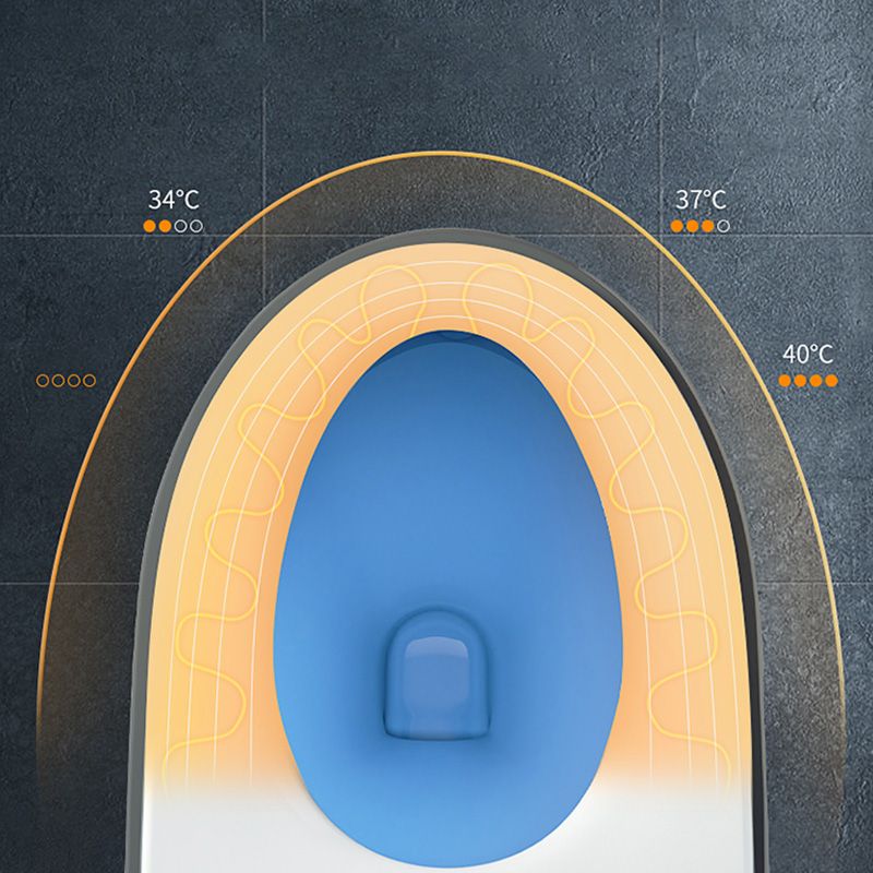 Gray Electronic Elongated Toilet Seat Bidet with Wireless Remote Control Clearhalo 'Bathroom Remodel & Bathroom Fixtures' 'Bidets' 'Home Improvement' 'home_improvement' 'home_improvement_bidets' 'Toilets & Bidets' 1200x1200_ddd100d9-43c6-41d9-99bc-7e379753b3c3