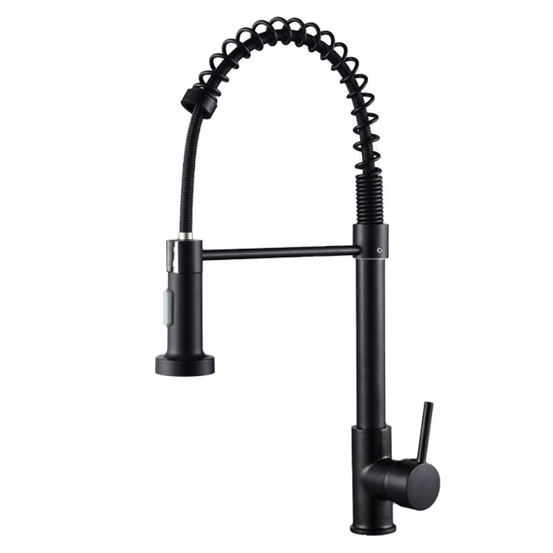Modern Spring Spout Faucets 1-Handle with Water Dispenser Standard Kitchen Faucets Clearhalo 'Home Improvement' 'home_improvement' 'home_improvement_kitchen_faucets' 'Kitchen Faucets' 'Kitchen Remodel & Kitchen Fixtures' 'Kitchen Sinks & Faucet Components' 'kitchen_faucets' 1200x1200_de2d400b-ffb7-4bb9-a738-fa96901291f9