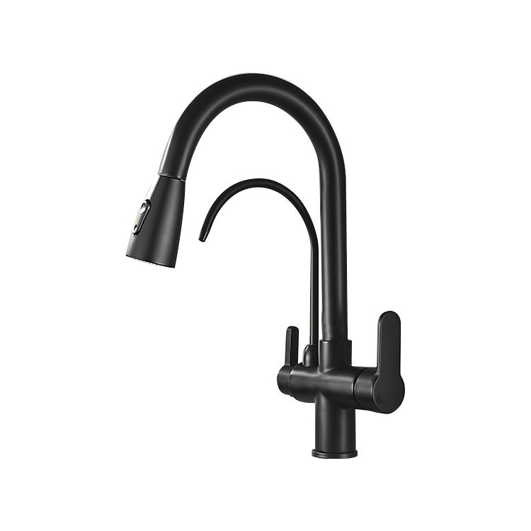 Contemporary Two Handles Kitchen Faucet Double Faucet 1-Hold Faucet Clearhalo 'Home Improvement' 'home_improvement' 'home_improvement_kitchen_faucets' 'Kitchen Faucets' 'Kitchen Remodel & Kitchen Fixtures' 'Kitchen Sinks & Faucet Components' 'kitchen_faucets' 1200x1200_de46d0b4-cf3a-4601-8115-fb0264e918d1