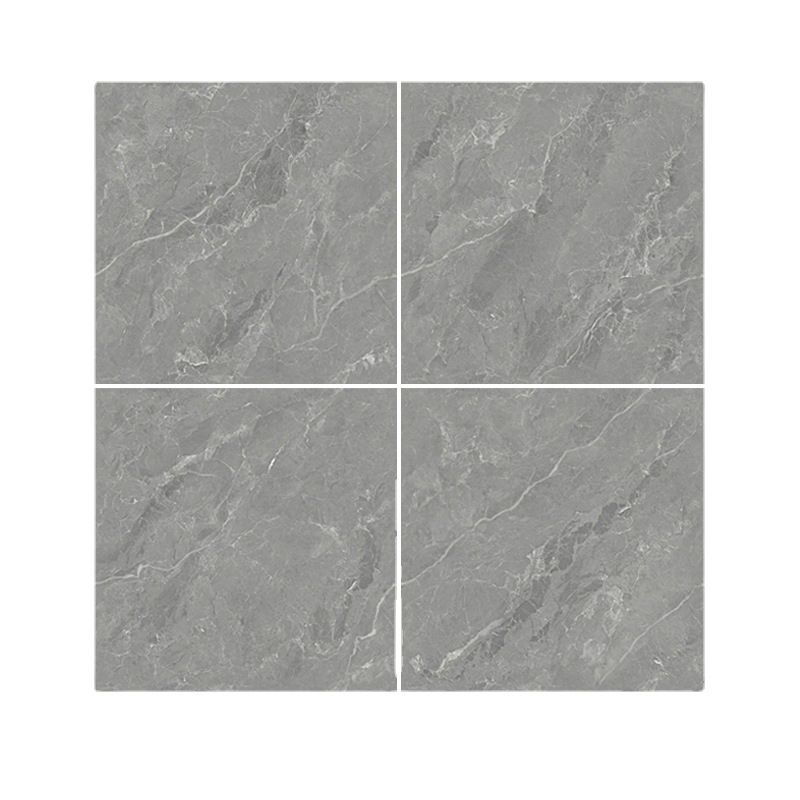 Modern Matte Square Singular Tile Marble Gray Tile for Home Decoration Clearhalo 'Floor Tiles & Wall Tiles' 'floor_tiles_wall_tiles' 'Flooring 'Home Improvement' 'home_improvement' 'home_improvement_floor_tiles_wall_tiles' Walls and Ceiling' 1200x1200_e0b2c2cf-9789-4a16-a230-efaee5cd47e5