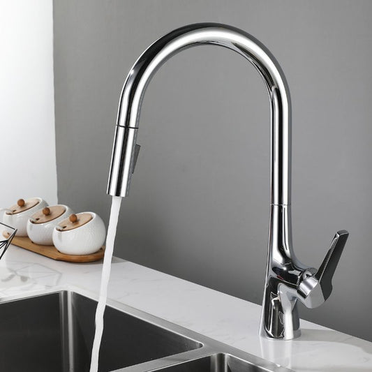 Contemporary Single Handle Standard Kitchen Faucet Pull Down 1-Hold Faucet Clearhalo 'Home Improvement' 'home_improvement' 'home_improvement_kitchen_faucets' 'Kitchen Faucets' 'Kitchen Remodel & Kitchen Fixtures' 'Kitchen Sinks & Faucet Components' 'kitchen_faucets' 1200x1200_e0e65411-0c5f-405e-bbfb-48876e57ed7a