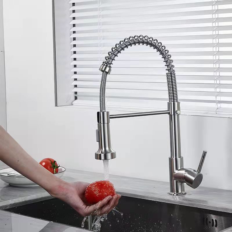 1-Handle Faucets with Water Dispenser Spring Spout Standard Kitchen Faucets Clearhalo 'Home Improvement' 'home_improvement' 'home_improvement_kitchen_faucets' 'Kitchen Faucets' 'Kitchen Remodel & Kitchen Fixtures' 'Kitchen Sinks & Faucet Components' 'kitchen_faucets' 1200x1200_e0ef79d6-b78e-4dc8-8436-51bbf7476d4d