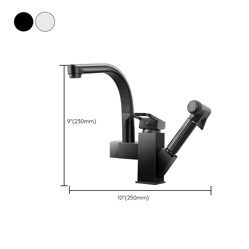 Traditional 1-Handle Faucet with Water Dispenser Standard Kitchen Faucet Clearhalo 'Home Improvement' 'home_improvement' 'home_improvement_kitchen_faucets' 'Kitchen Faucets' 'Kitchen Remodel & Kitchen Fixtures' 'Kitchen Sinks & Faucet Components' 'kitchen_faucets' 1200x1200_e24661f0-2585-42d6-b0e1-be247e53374b