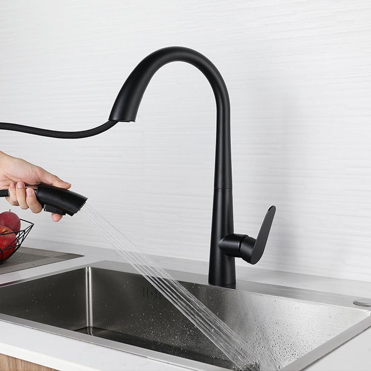 Modern Retractable Kitchen Faucet Stainless Steel Single Handle High Arc Kitchen Faucet Clearhalo 'Home Improvement' 'home_improvement' 'home_improvement_kitchen_faucets' 'Kitchen Faucets' 'Kitchen Remodel & Kitchen Fixtures' 'Kitchen Sinks & Faucet Components' 'kitchen_faucets' 1200x1200_e3654441-095d-4946-be04-e9080d00569e