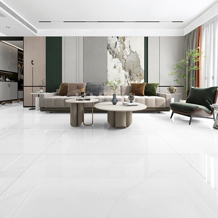 Mirrored Marble Floor and Wall Tile No Pattern Singular Tile Clearhalo 'Floor Tiles & Wall Tiles' 'floor_tiles_wall_tiles' 'Flooring 'Home Improvement' 'home_improvement' 'home_improvement_floor_tiles_wall_tiles' Walls and Ceiling' 1200x1200_e6684a5d-a599-499b-aa4b-aa0f2f9e8831