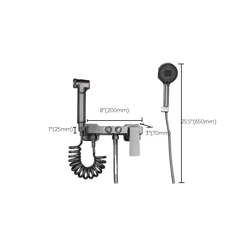 Contemporary Tub Filler Trim Wall Mount with Handshower and Hose Clearhalo 'Bathroom Remodel & Bathroom Fixtures' 'Bathtub Faucets' 'bathtub_faucets' 'Home Improvement' 'home_improvement' 'home_improvement_bathtub_faucets' 1200x1200_f02f9810-e9d0-4a6d-a8cb-361bcc9dbba9