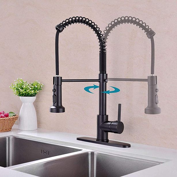 Modern Farmhouse Spring Spout One Handle Kitchen Standard Faucet High Arch Water Filler Clearhalo 'Home Improvement' 'home_improvement' 'home_improvement_kitchen_faucets' 'Kitchen Faucets' 'Kitchen Remodel & Kitchen Fixtures' 'Kitchen Sinks & Faucet Components' 'kitchen_faucets' 1200x1200_f1d02759-44f6-485d-9b27-3b3182eda88c