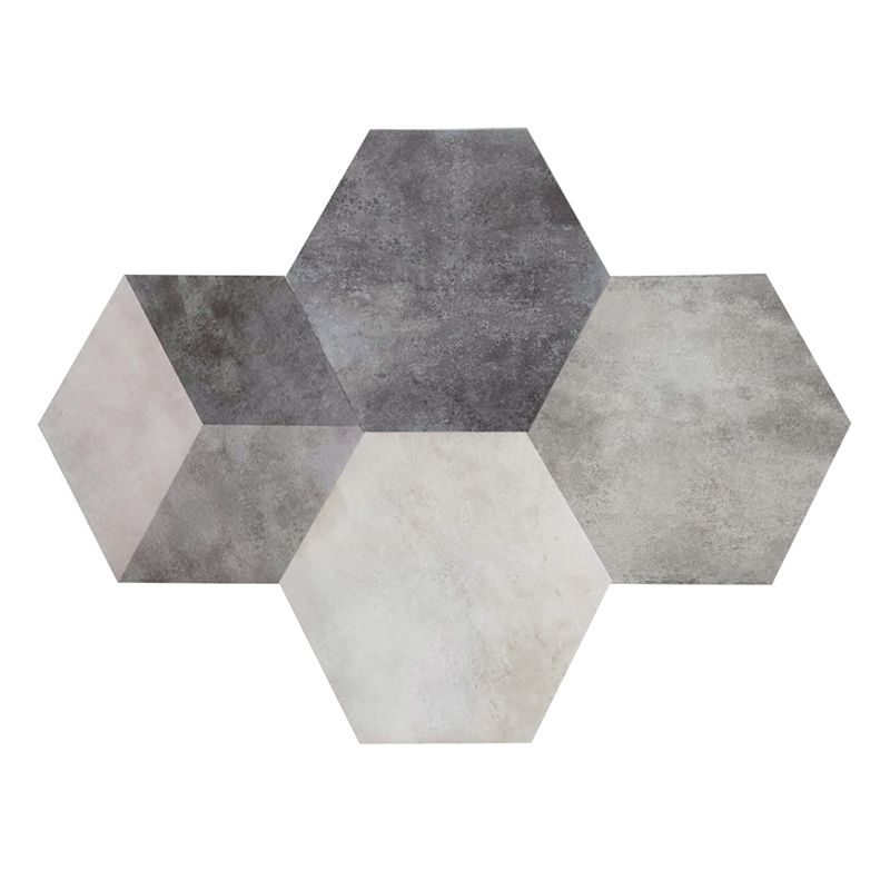 Modern Style Indoor Tile Hexagon Living Room Floor and Wall Tile Clearhalo 'Floor Tiles & Wall Tiles' 'floor_tiles_wall_tiles' 'Flooring 'Home Improvement' 'home_improvement' 'home_improvement_floor_tiles_wall_tiles' Walls and Ceiling' 1200x1200_f2107e56-0d84-4eeb-8cb5-85665b4fa890