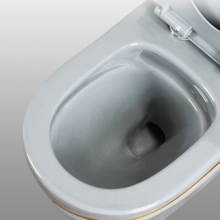 Traditional Floor Mounted Urine Toilet Siphon Jet Toilet Bowl with Toilet Seat Clearhalo 'Bathroom Remodel & Bathroom Fixtures' 'Home Improvement' 'home_improvement' 'home_improvement_toilets' 'Toilets & Bidets' 'Toilets' 1200x1200_f7054f7b-5b40-4ce1-a75b-d14687549976