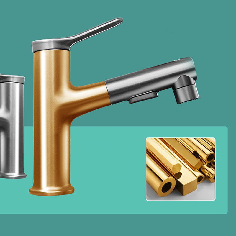 Modern Vessel Faucet Brass Single Handle Low Arc Vessel Faucet for Home Clearhalo 'bathroom_sink_faucets' 'Conjunta de Baño y Conjunta de Grifo' 'Coronamiento de Baño y Dispositivo de Baño' 'Grifo del lavabo del baño' 'Hogar' 'home_improvement' 'home_improvement_bathroom_sink_faucets' 'Mejoras para el hogar' 1200x1200_f70b747e-085c-4214-b5a6-307d47b3c324